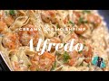 THE BEST HOMEMADE CREAMY SHRIMP ALFREDO RECIPE | QUICK & EASY WEEKNIGHT MEAL