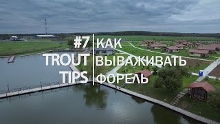 Trout Tips #7. Вываживание форели