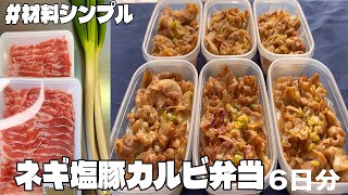 料理人が作る！【ネギ塩豚カルビ弁当】6日分作り置き👍誰でも簡単に作れます！