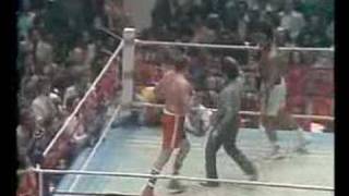 Muhammad Ali vs Chuck Wepner Round 15 (final round) 1975