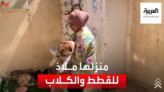 عراقية تساعد القطط والكلاب الضالة بإنقاذهم من التشرد والأمراض