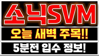 [소닉 SVM 분석] \