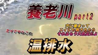 【シーバス】養老川でウェーディング