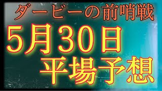 【ダービーへの前哨戦】5月30日平場予想