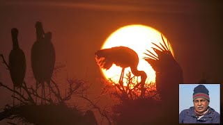 Keoladeo Bird Sanctury ; Travel with Deepak; Bharatpur Bird Sancutry