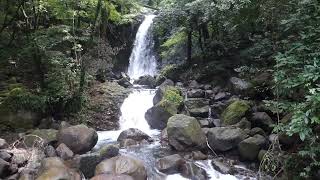 白糸の滝（熊本県阿蘇郡西原村）