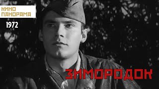 Зимородок (1972 год) военный