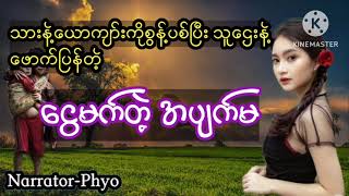 လင်ရှ်ိရက်နဲ့ေဖာက်ပြန်တဲ့ ငွေမက်တဲ့ အပျက်မ#PHYO#ဖြိုး#Audiobook