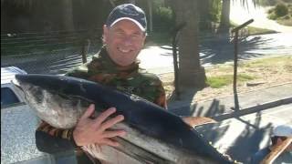 Albacore tuna record! Un thon germon record!