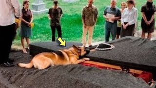 They Opened the Coffin Because of the Dog's Barking  What Was Inside Shocked Everyone!