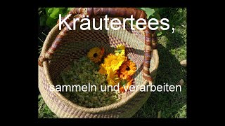 Kräutertee, - sammeln, verarbeiten, lagern - ganz einfach  !!!!!!