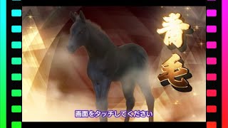 #136 【スタポケプラス】レジェンド配合SWBC無双したい純情な感情【スターホースポケットプラス】