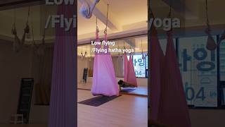 로우플라잉/플라잉하타요가#flyingyoga #플라잉요가