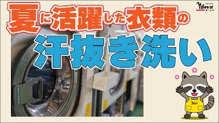 夏に活躍した衣類の汗抜きをしてみませんか？