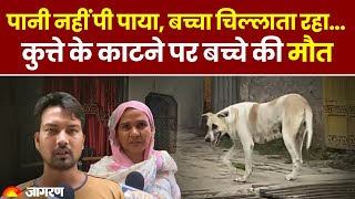 Ghaziabad Rabies Case: कुत्ते के काटने पर बच्चे की मौत। घरवालों का हुआ बुरा हाल, सुनकर रो पड़ेंगे