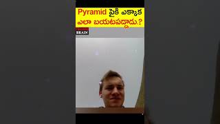 అసలు ఇతనెలా Giza పిరమిడ్ పైకి ఎక్కాడు 😱 #shorts #viral #facts