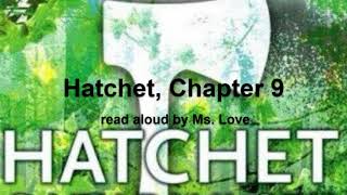 Hatchet by Gary Paulsen, Chapter 9
