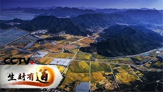 《生财有道》 生态中国沿海行——浙江三门：鲜甜味道的海边小城 20190222 | CCTV财经