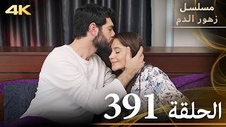 الحلقة 391 | مسلسل زهور الدم | مدبلج بالعربية | Kan Çiçekleri | جودة 4K