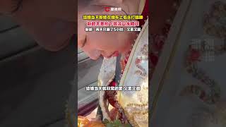 結婚當天，新娘在婚車上累得打瞌睡 #瀟湘晨報 #社會新聞 #中國新聞 #社會日常 #shorts