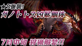 【MHXR】★5水「強襲！ガノトトス凶暴個体」凶水魚龍 - 2鎚1双刀1銃 - モンハン Monster Hunter Explore 怪物獵人