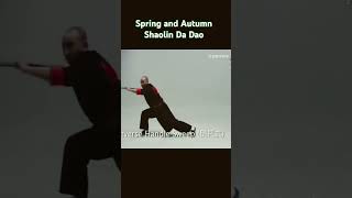 Spring and Autumn Shaolin Dadao #kungfu #martialarts #dao