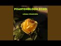 Phantombloom Echo