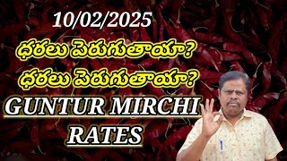 10 February 2025 ధరలు పెరుగుతాయా? GUNTUR MIRCHI MARKET RATES గుంటూరు మిర్చి మార్కెట్ ధరలు