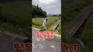 もう4日も水が出ない〜緊急の緊急の緊急事態だっ😱#shorts #佐渡 #農業 #田んぼ #水不足