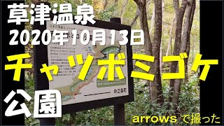 草津温泉チャツボミゴケ公園