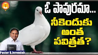 పవిత్రంగా బ్రతకాలని వుందా-ఇది విను-ఓ పావురమా నీకెందుకు అంత పవిత్రత|B.Jeremiah|EmmanuelMinistriesHyd