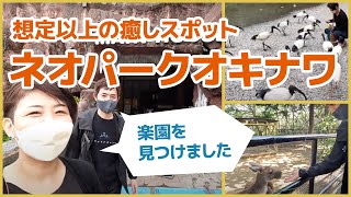 【沖縄観光】希少鳥や動物たちとふれあえる！ネオパークオキナワが最高だった【なるほどここが楽園か】