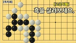 [256] 고급사활 / 흑을 살려보세요.