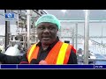 cross river govt. seeks nafdac approval for “calachika” factory