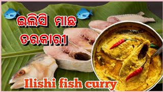 Ilishi fish curry 🐟 ଏବର୍ଷ ର ପ୍ରଥମ ଇଲିସି ମାଛ ତରକାରୀ 😋#ilishfish #odiafood  @Chikisfamilylifestyle