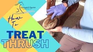 How to Treat Thrush with Copper Sulfate
