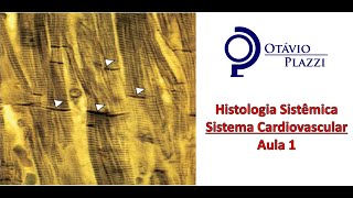 Histologia Sistêmica - Sistema Cardiovascular- Parte 1