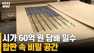 시가 60억 원 담배 밀수, 합판 속 비밀 공간