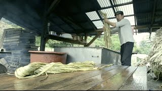 Conservation: Korean Hanji Paper Making