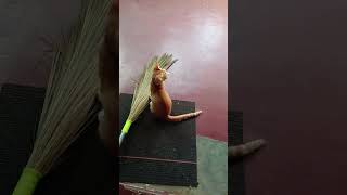 பூனையின் அலப்பறைகள்#comedy #funny#kitten #kittycomedy #funnycat #funnyanimal #funnyvideo #funnypet