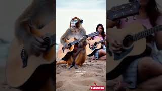 Viral Monyet Main Gitar Akustik Spesial Tahun Baru #empudstudio #empudstudiogrup #shorts