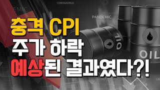 예상치 이상의 충격 CPI 발표, 인플레이션 뭐가 문제였을까? | 미국주식 분석