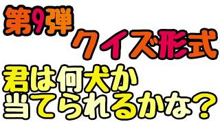 【クイズ！】この犬種なーんだ！パート9！［兵庫ペット医療センター トリミング 尼崎 犬動画　］Happy dog glooming