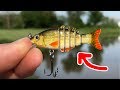 MICRO Jointed Swimbait!!! - SMALLEST in the WORLD! (Surprising Results)