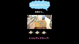 猫ジャンプ【50秒】失敗から学ぶも最後は、ちょっとズルい⁉️ #shorts #ねこ99福岡