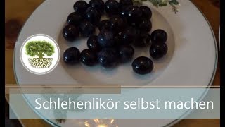 DIY - Schlehenlikör selber machen