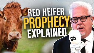 What's the "Red Heifer Sacrifice" in Israel, and Will it Happen?