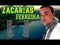 zacarías ferreira 2025 🌴 lo mas sonado 2025 🌴 mix de bachata 2025 the most recent bachata mixes.