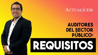 Requisitos que debe cumplir un auditor para ejercer en empresas del sector público