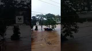 കര  കവിഞ്ഞ് മണിമലയാർ | #mundakayam #Heavyrain #Shorts